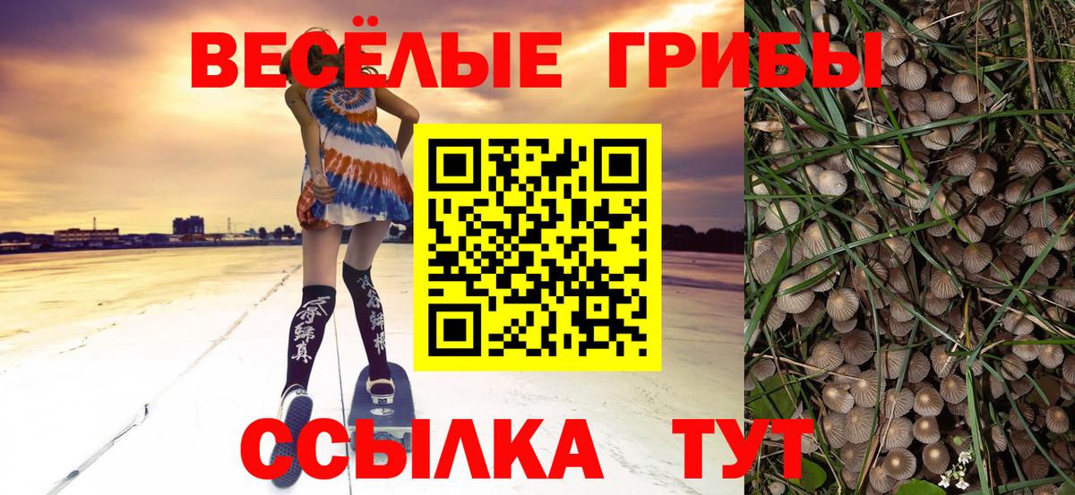 Куйбышев  Галлюциногенные грибы Psilocybine cubensis  Вход с VPN 