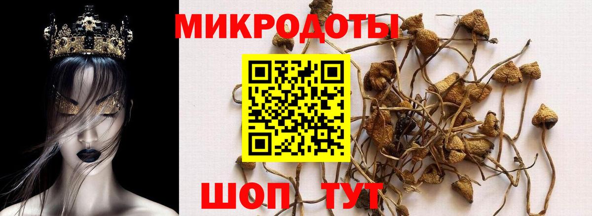 Псилоцибиновые грибы ЛСД Куйбышев